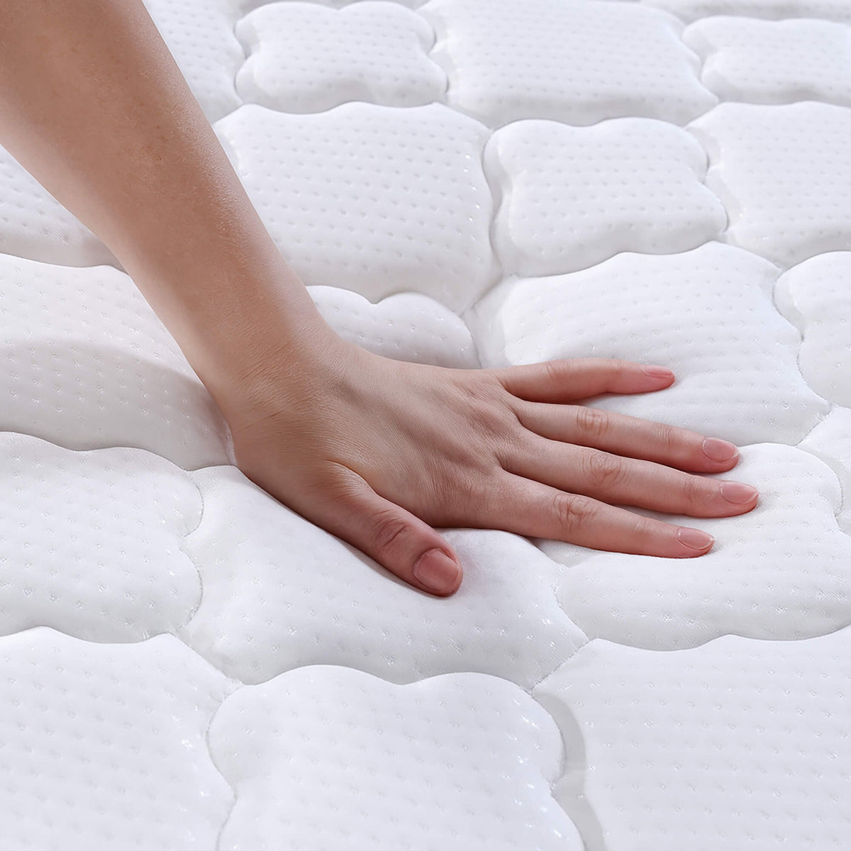 Materasso a Molle con Coprimaterasso 80x190 cm H24
